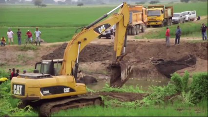 Un éléphant de mer coincé depuis treize jours est libéré en Équateur