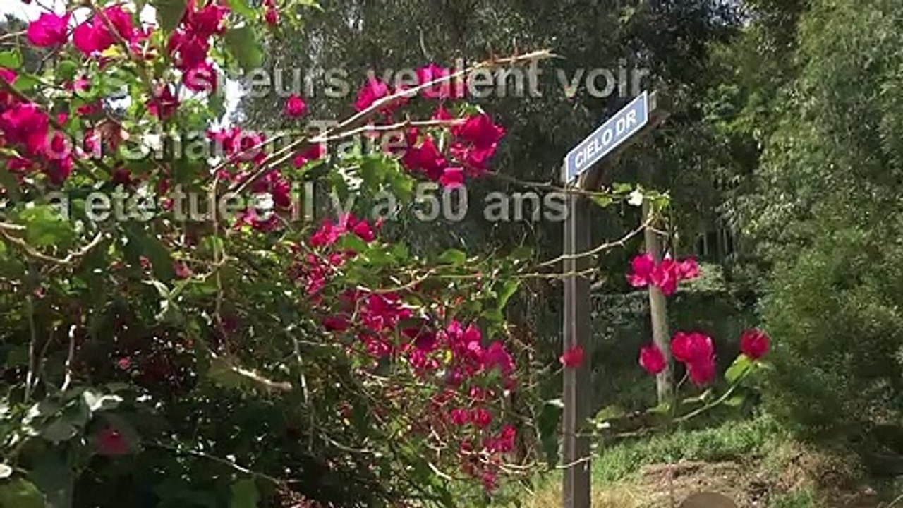 Le meurtre de Sharon Tate passionne toujours