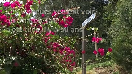 Le meurtre de Sharon Tate passionne toujours