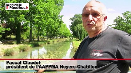 Loir-et-Cher. Le canal de Berry meurt de soif