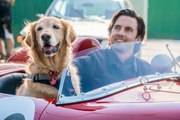 Milo Ventimiglia tells fans what's in store for Jack on 'This Is Us,' talks 'The Art of Racing in the Rain'