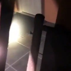 C’est une jolie petite chatte qui se balade la nuit. Observez !