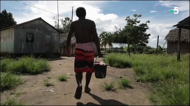 En Amazonie, le destin des peuples de la forêt