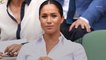 Did the Palace Have Something to Do with the Suspension of Meghan Markle’s Sister’s Twitter Account?