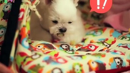 부산출장안마 -후불1ØØ%ョØ1ØZ6622Z4421｛카톡BB5858｝ 부산전지역출장마사지 부산오피걸 부산출장안마 부산출장마사지 부산출장안마 부산출장콜걸샵안마 부산출장아로마부산출장샵≭ち⺟