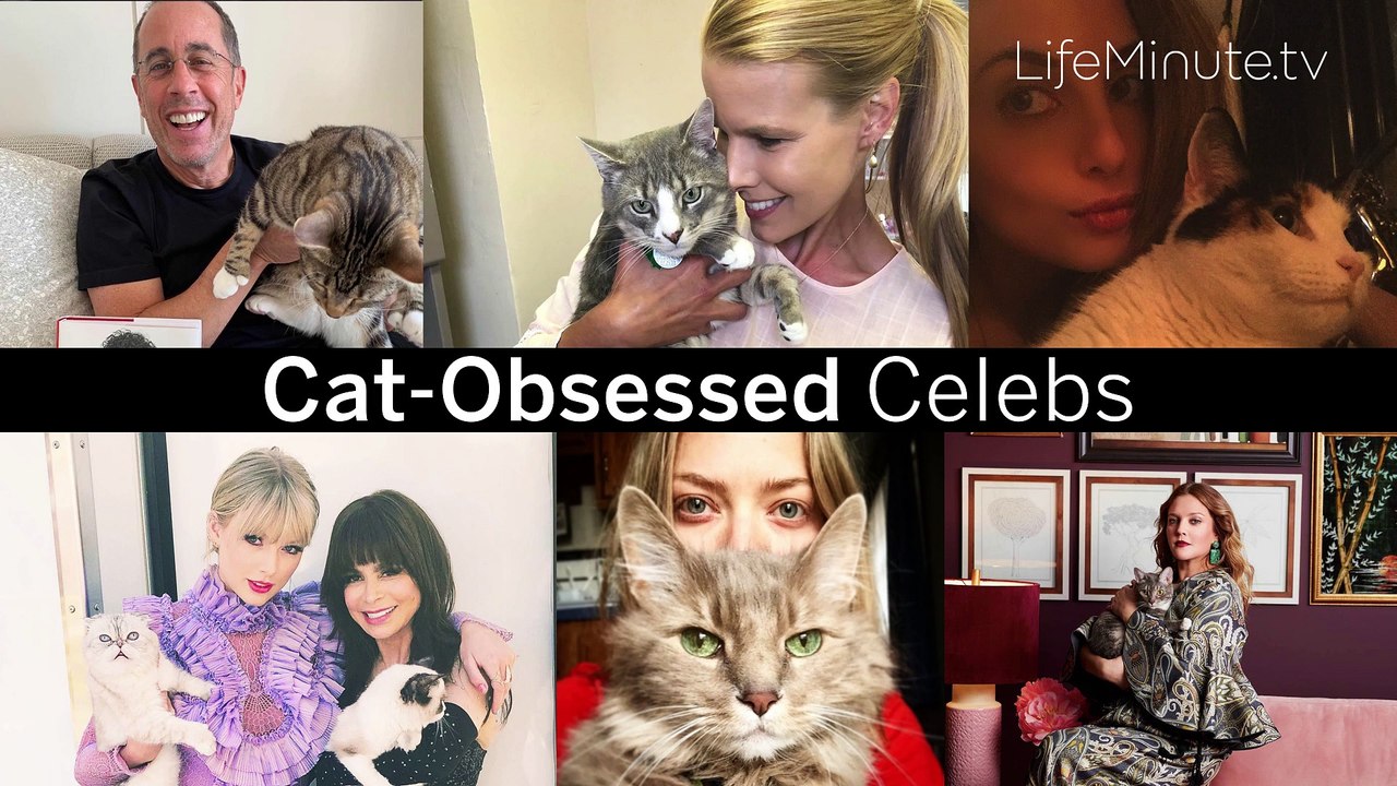 Cat-Obsessed Celebs