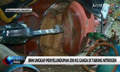 Video herunterladen: BNN Ungkap Penyelundupan 200 Kg Ganja di Tabung Nitrogen