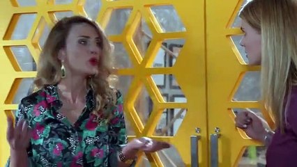 Amor a la Catalán Capitulo 23 Completo Amor a la Catalán Capitulo 23 Completo