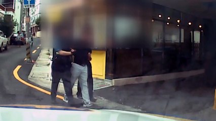 가정폭력 마약 수배자 추격전 끝에 검거 / YTN