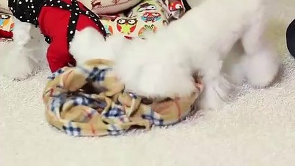 마포출장안마 -후불100%ョØ1ØZ7467Z4367｛카톡KP93｝ 마포전지역출장안마 마포오피걸 마포출장마사지 마포안마 마포출장마사지 마포콜걸샵∧を⊔