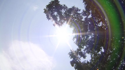 [날씨] 주말∼휴일, 전국 찜통...태풍 '레끼마' 中 상륙 / YTN