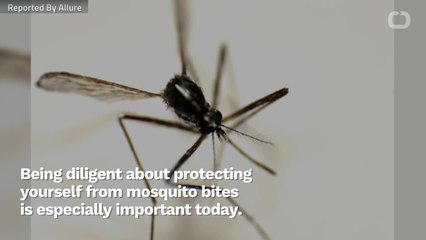 What To Do When A Mosquito Bites You