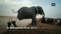 Animal statues along sea coast washed away due to heavy rains in AP’s Srikakulam