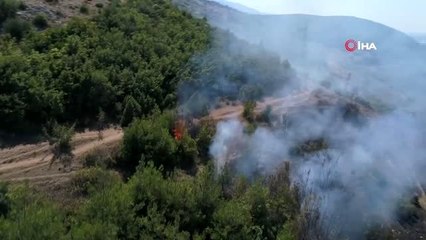 Bir haftada ülke genelinde 105 orman yangını