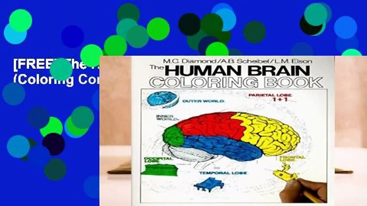 [FREE] The Human Brain Coloring Book (Coloring Concepts) video