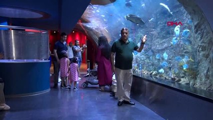Orta Doğulu turistlerin yeni gözdesi akvaryumlar