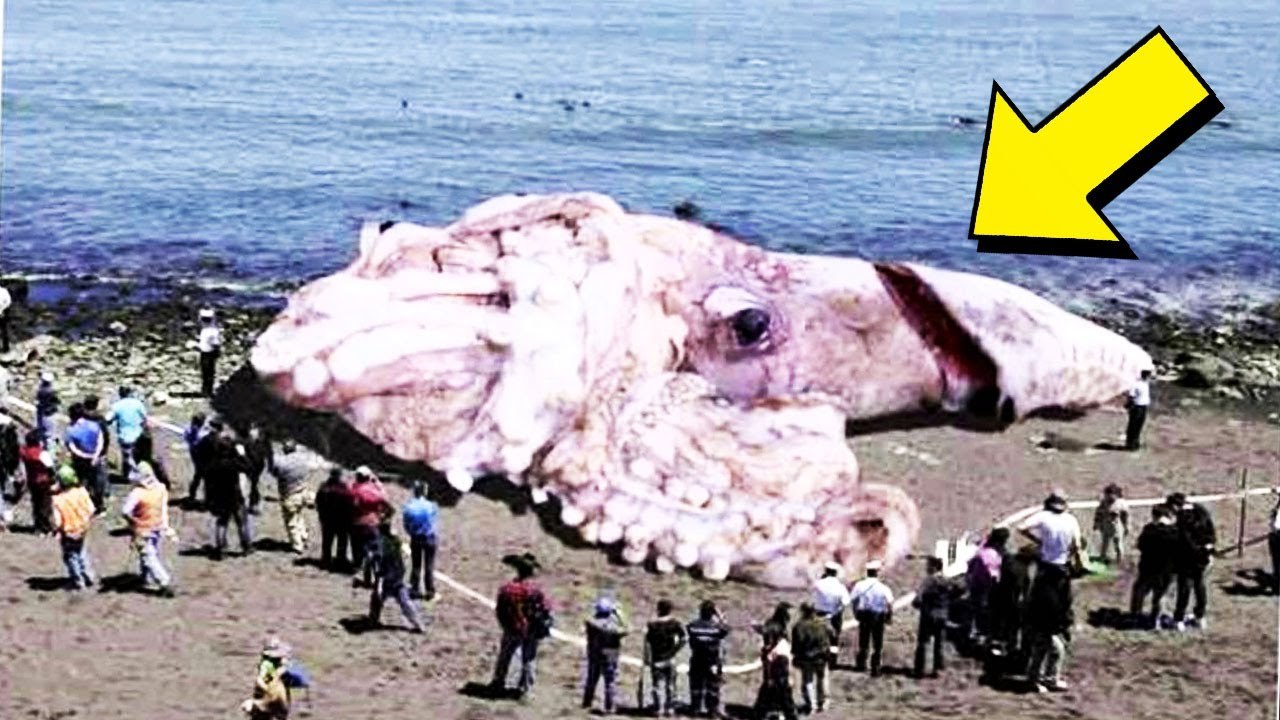 KRAKEN - ukryta broń ROSJI?