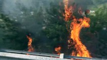 Tanker Otoyolda Yandı, Alevler Ağaçlık Alana Sıçradı