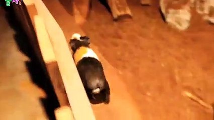 광평동출장안마 -후불100%ョØ1ØZ7467Z4367｛카톡RQ43｝ 광평동전지역출장안마 광평동오피걸 광평동출장마사지 광평동안마 광평동출장마사지 광평동콜걸샵え◣◩