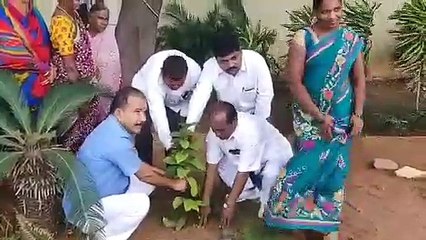 హరితహారాన్ని కామెడీ చేసిన టీఆర్ఎస్ లీడర్ (వీడియో)