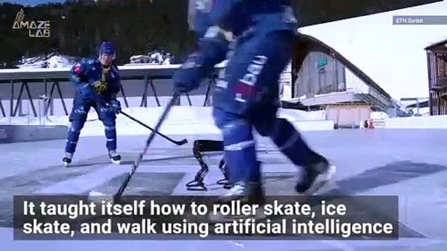 Check Out This Roller Skating Robot That Can Also Ice Skate!
