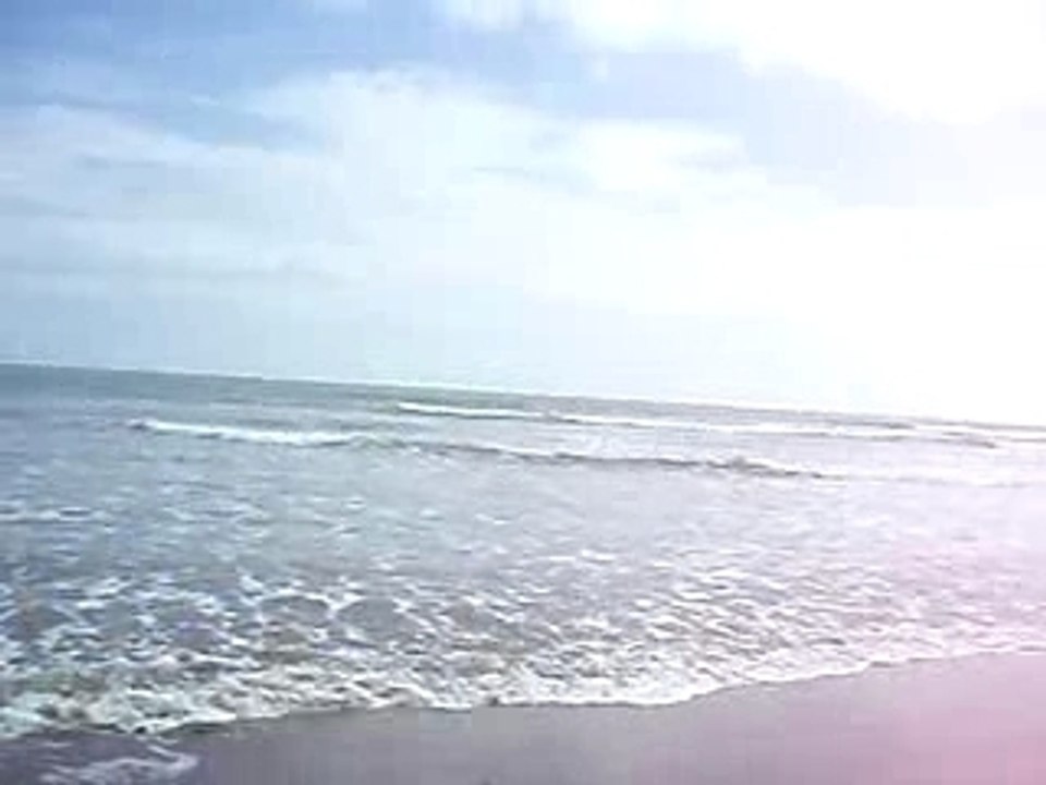 P1170431