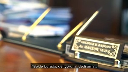 Ankara Büyükşehir Belediyesi'nin kedisi Khaleesi 24 Eylül'deki davayı hatırlattı