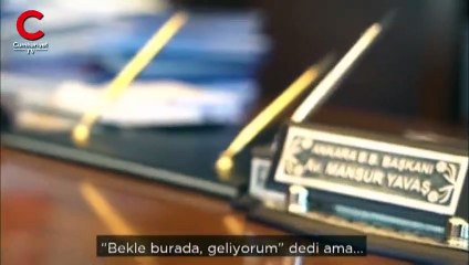 Ankara Büyükşehir Belediyesi'nin kadrolu kedisi Khaleesi teftişte
