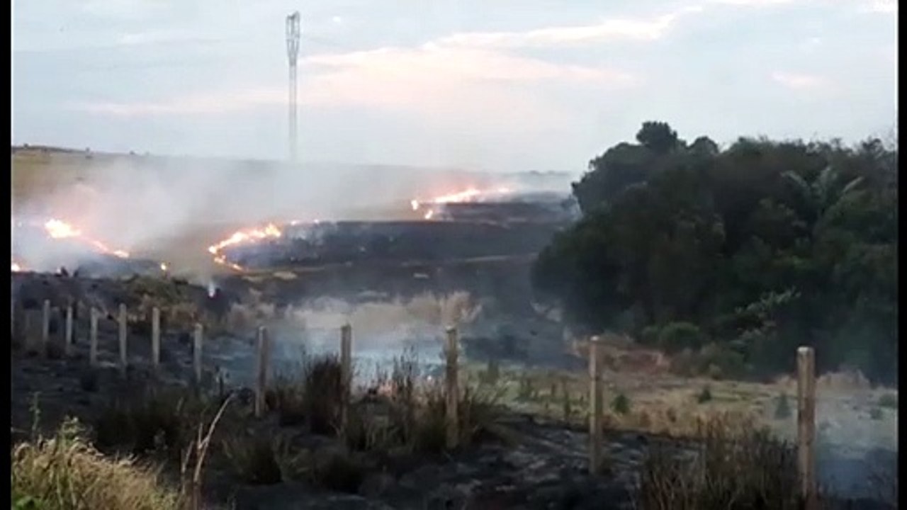 Incêndio atinge extensa área de vegetação às margens da BR-163
