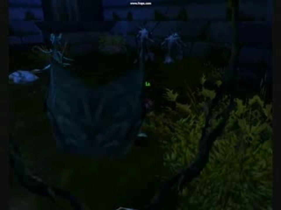 PIRATE1