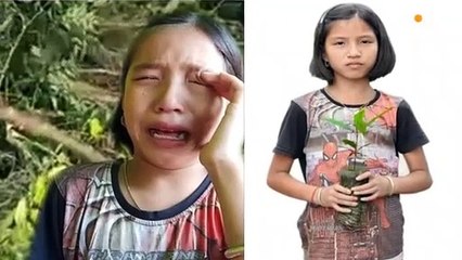 पेड़ों को कटते देख रो पड़ी थी बच्ची, सीएम ने बनाया ग्रीन एम्बेसडर
