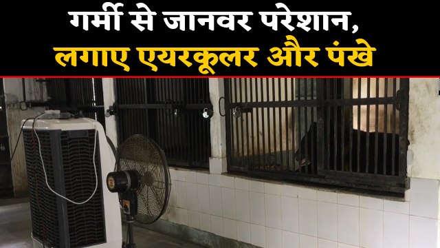 Siliguri Zoo में Animals के लिए लगे Aircooler and Fans