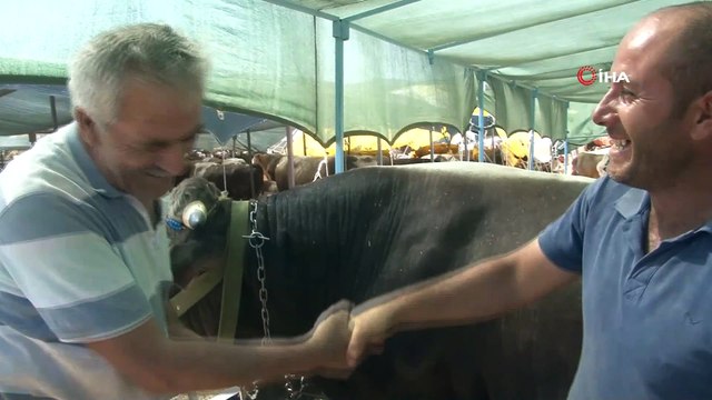 İzmirliler kurban almak için Arife gününü bekliyor...Kurban pazarı havadan görüntülendi