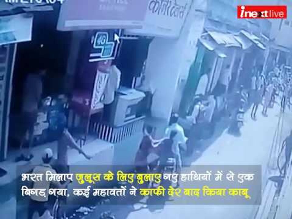 Elephant creates rampage in the streets of Vara...