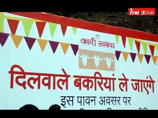 Amazing Goat wedding in Uttarakhand: Here Katrina, Deepika and Priyanka got married!