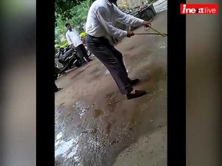 Allahabad University professor turns snake hunter