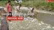 Snakes creating fear for VVIPs in Uttarakhand
