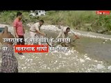 Snakes creating fear for VVIPs in Uttarakhand