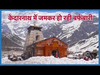 Fresh Snowfall in Kedarnath, श्रद्धालुओं को सालों बाद दिखी इतनी बर्फ