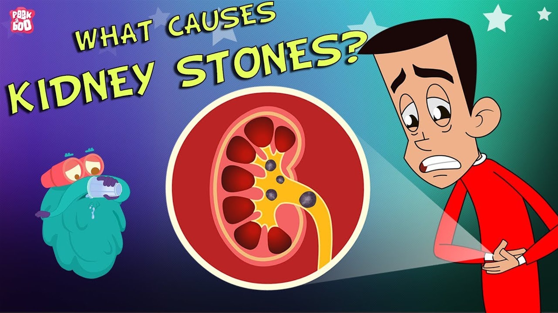 What Causes Kidney Stones The Dr Binocs Show Best Learning Videos For Kids Peekaboo Kidz Video Dailymotion