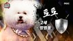[HOT] Dog appeared! 마이 리틀 텔레비전 V2 20190809