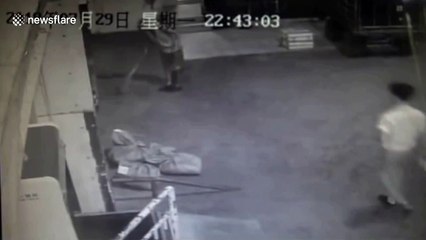 Train station staff at China's Jiujiang find baby king cobras in luggage room