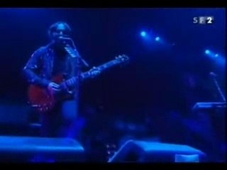 soad-Revenga greenfield 2005