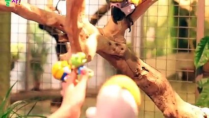 금정출장안마 -후불100%ョØ7ØE7575E0054｛카톡GD825｝ 금정전지역출장안마 금정오피걸 금정출장마사지 금정안마 금정출장마사지 금정콜걸샵∰⊒≸