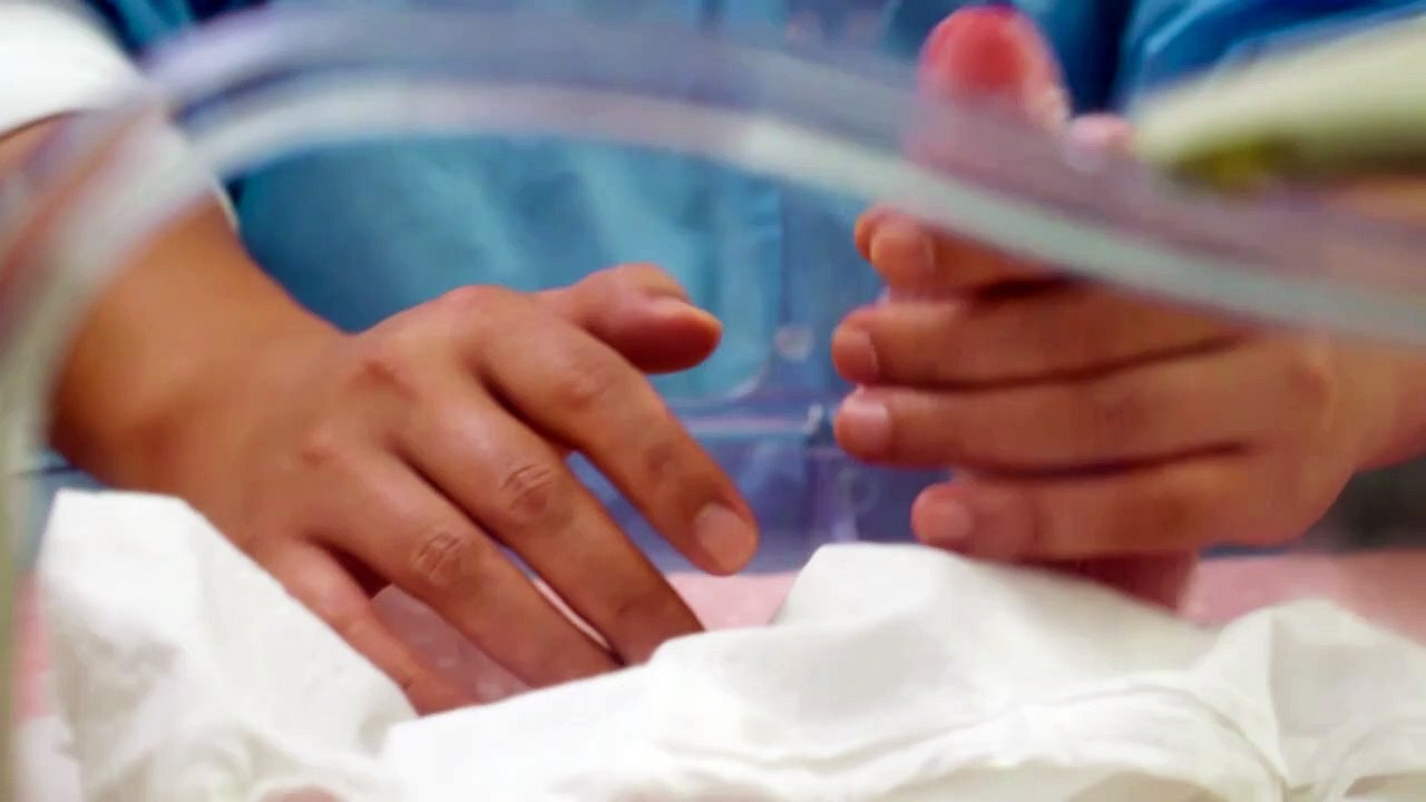 Nacen dos pandas gigantes gemelos en Bélgica