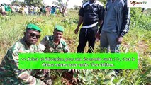 Journée nationale de l’arbre dans les Hauts-Bassins  Plus de 5000 plants mis en terre dans la commune de Kourinion