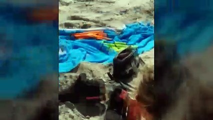 Un grupo de narcos descargan droga a plena luz del día en Cádiz