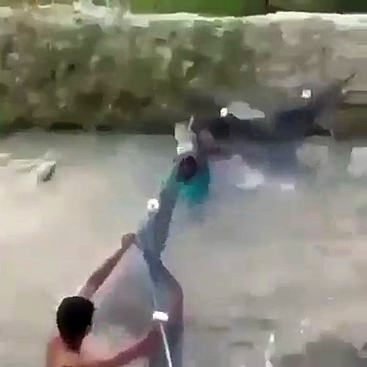 Fish Colonies Attack Humans