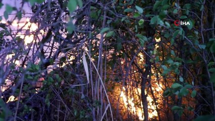 Anız yangınının bahçelerine sıçramaması için kova ve hortumla müdahale ettiler