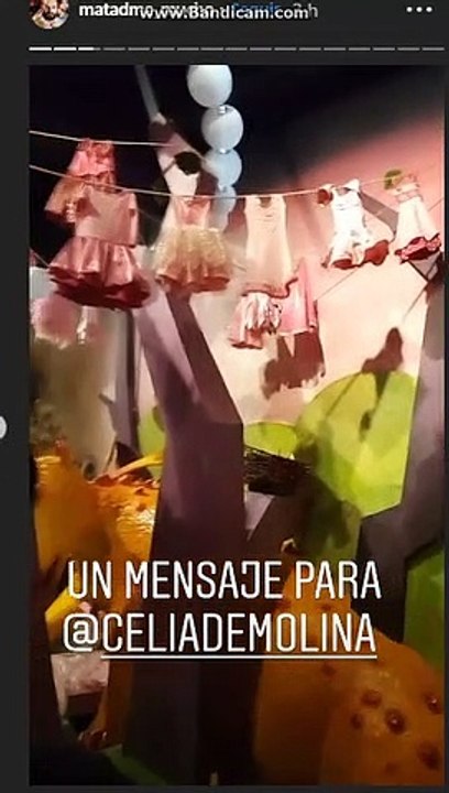 Museo Pipi xd